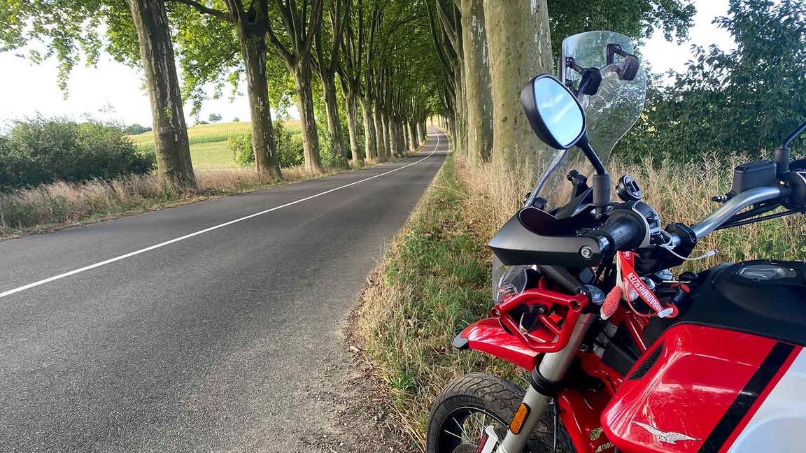 Schattige Allee auf dem Weg nach Baden-Baden