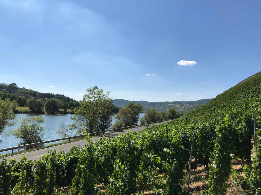 egt gespanntreffen weiswampach (014