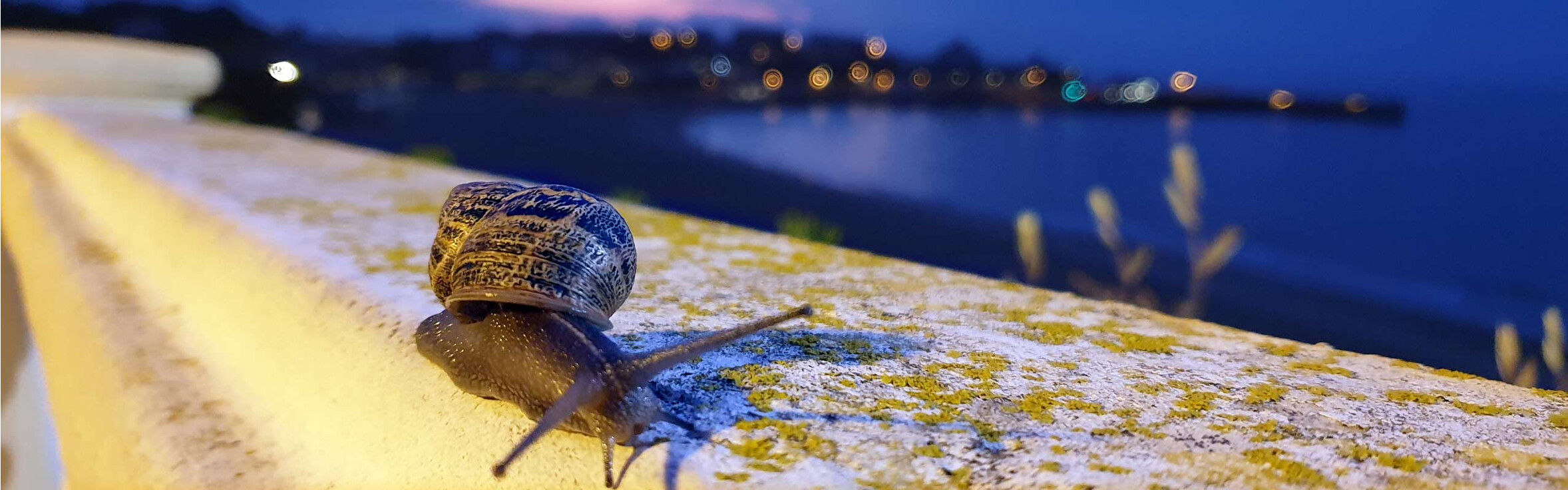 guzzisti-motorradtour-spanien-2023