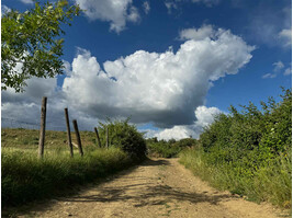 tag-14-saturnia-14.jpg