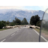 sardinien-tag-09-05.jpg