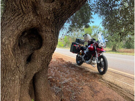 moto-guzzi-tag-14-04