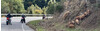 header-gernot-tag-07-03