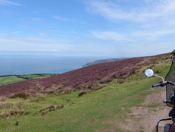 Blühende Heidelandschaft in den Black Mountains