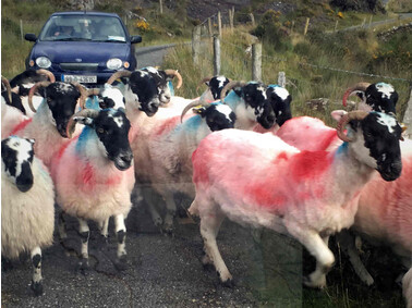 Viel Verkehr auf dem Bealach Oisin Pass
