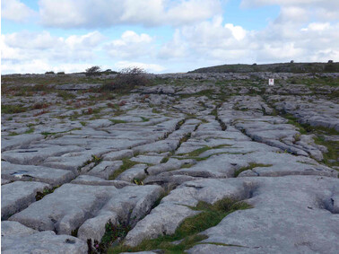Karstlandschaft Burren im Nordwesten des County Clare