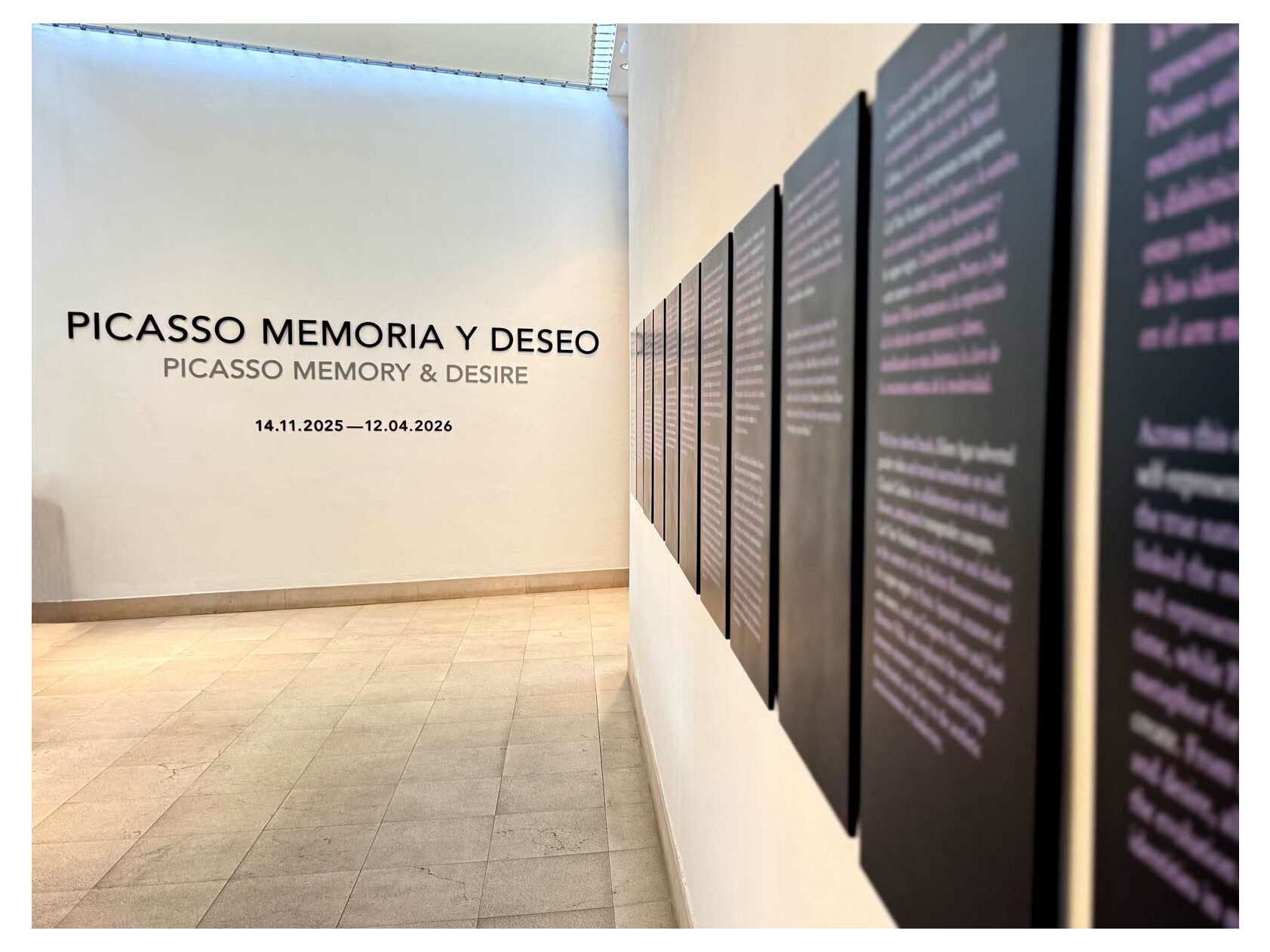 malaga-picasso-museum-02