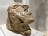 malaga-picasso-museum-12