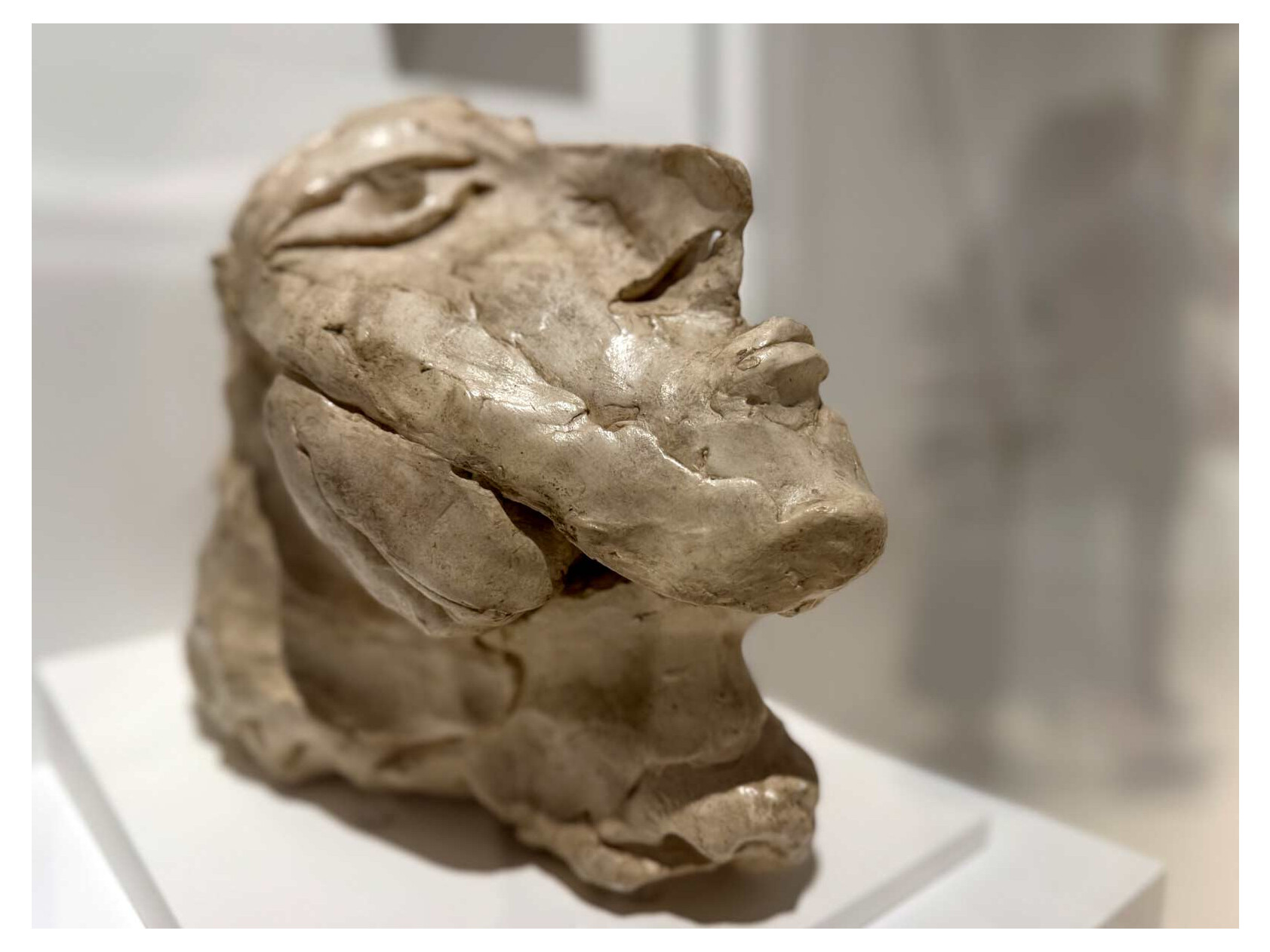 malaga-picasso-museum-12