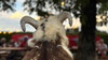 guzzisti-montfort-sommerfest-46